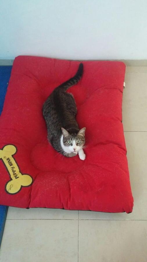 Paraiso Casa Turquesa 普拉亚卡门 外观 照片